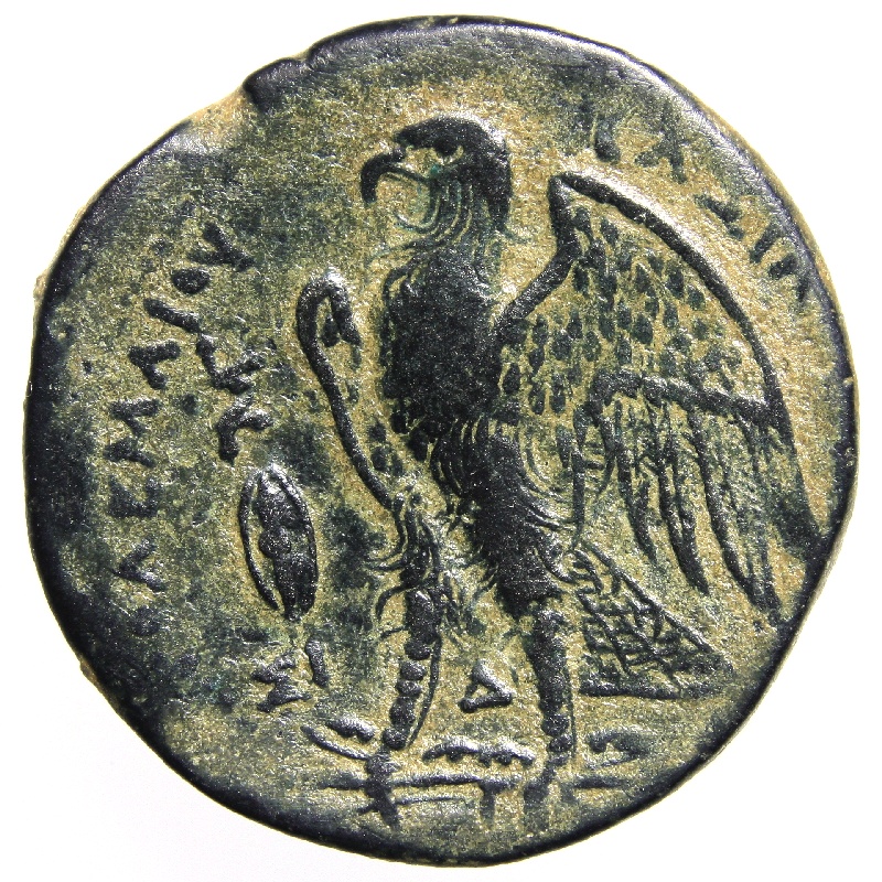 > make offer T2697 greek michalyna © bronze eagle ptolemy © mee? 